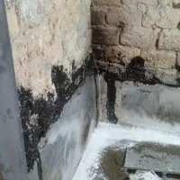 تعمیرات و بازسازی ساختمان|خدمات پیشه و مهارت|ری, فیروزآبادی|دیوار