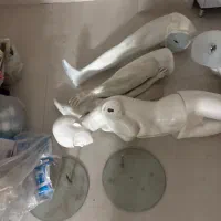 مانکن زن و مرد|مجسمه، تندیس، ماکت|قم, شهرک قدس|دیوار