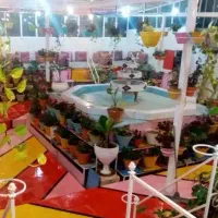 دورهمی بانوان به مناسبت روز زن