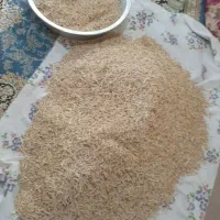 رشته خانگی