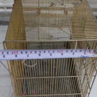 قفس سهره|لوازم جانبی حیوانات|تهران, سازمان آب|دیوار