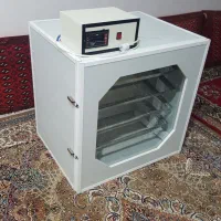 دستگاه جوجه کشی 338  تایی.|لوازم جانبی حیوانات|قیدار, |دیوار