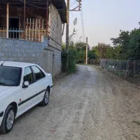 فروش دامداری (پرورش گوسفند)|فروش دفتر صنعتی، کشاورزی، تجاری|ساری, |دیوار