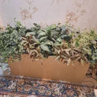 باکس گل همراه گل|گل مصنوعی|اهواز, شهرک دانشگاه|دیوار