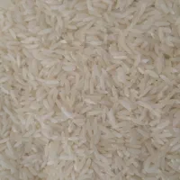 برنج طارم هاشمی