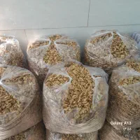 فروش گردو با پوست و مغز