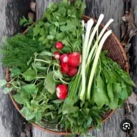 سبزی تازه