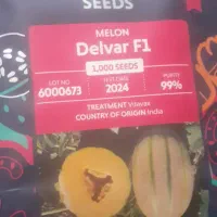 بذر خربزه جانا دلوار