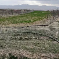 ۱۵۰۰مترزمین   ۳۰دقیقه اب|فروش زمین و ملک کلنگی|قره پشتلو, |دیوار