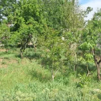 باغچه-4دیواری