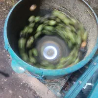 گردو  و بادام  پوست کنی حرفه ای سفید سفید بدون آب