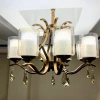 دو عدد لوستر هشت شاخه