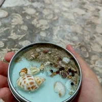 تولید و پخش انواع شمع