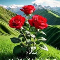 فروش فیش حج تمتع 1404