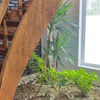 فروش ویلا دوبلکس ۳۸۰متری استخردار|فروش خانه و ویلا|تنکابن, |دیوار