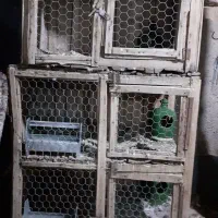 دو عدد جفت کن سالم و خوب|لوازم جانبی حیوانات|قنوات, |دیوار