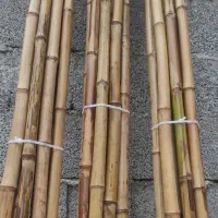 نی بامبو|صنایع دستی و سایر لوازم تزئینی|نیشابور, گنبد سبز|دیوار