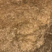 کاه گندم کوفته|لوازم جانبی حیوانات|مرودشت, تخت جمشید|دیوار