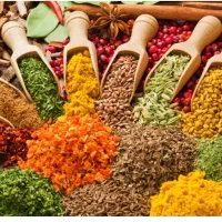 پخش انواع ادویه و رشته