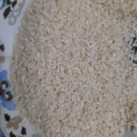 برنج هاشمی|خوردنی و آشامیدنی|لاهیجان, کوی زمانی|دیوار