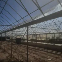 اجاره گلخانه|اجارهٔ دفتر صنعتی، کشاورزی، تجاری|زاهدان, |دیوار