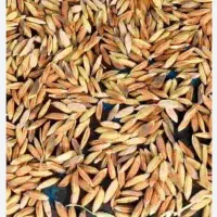 فروش چلتیک و برنج کام فیروز