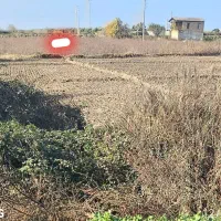 زمین 4200متر کنار جاده بندر ترکمن سنددار نزدیک شهر