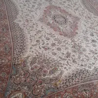 فرش ۱۲ متری|فرش|شیراز, محراب|دیوار