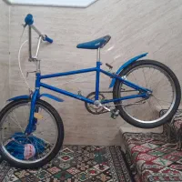 کولکسیونی
