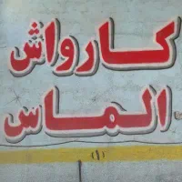 نیروی کار در کارواش