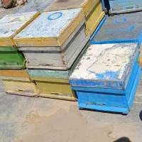 کندو وطبق دست دو فروشی