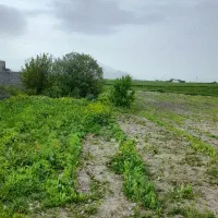 زمین