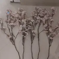 ۵ شاخه شکوفه گیلاس با قابلیت شست وشو