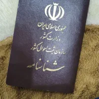 یک عدد شناسنامه و کارت ملی گم شده