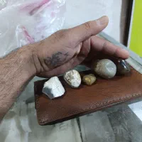 انکشتر