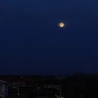 کار های کامپیوتری ادیت ویدیو حرفه ای تایپینگ