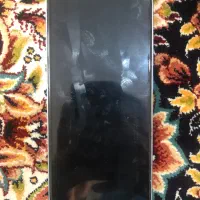 شیاومی نوت۱۳|موبایل|تهران, شمیران‌نو|دیوار