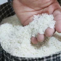 برنج هاشمی درجه یک