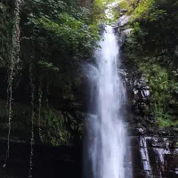 لیدر گیلانگردی