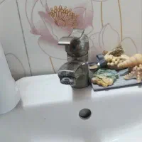 شیر روشو