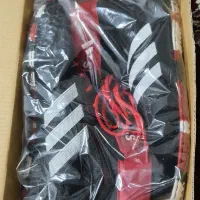 کفش کشتی ادیداس