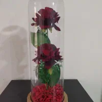 گنجه تمام چوب گردو|بوفه، ویترین، کنسول|مشهد, کوشش|دیوار