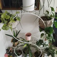 استند گل فلزی