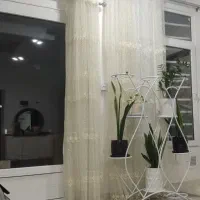 نظافت