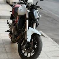 بنلی ۲۵۰ جفت در حد