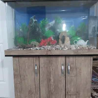 آکواریوم شیشه خم