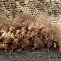 جارو(گزی باخی)|جاروبرقی، جارو شارژی، بخارشو|روانسر, |دیوار