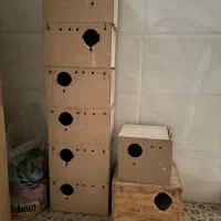 وسایل عروس پاریس