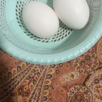 تخم مرغ گلین