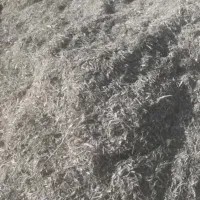 کاه لوبیا